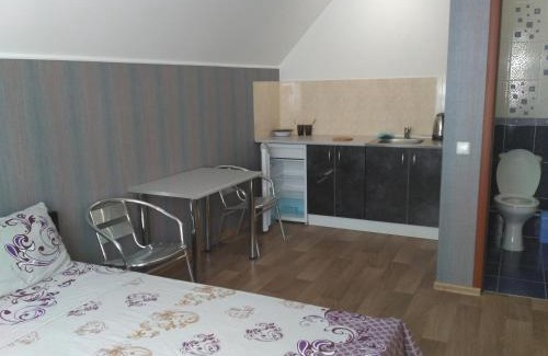 Kirovograd Maison | Guest House RELAX