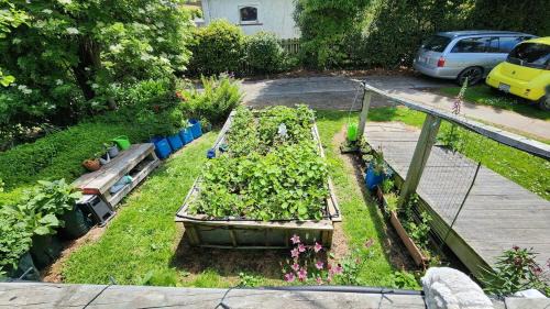 Oamaru Appartement | Guest Suite with private entry own kitchen and bathroom