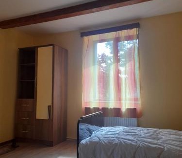 Mirzaani Appartement | Guesthouse Dedoplistskaro