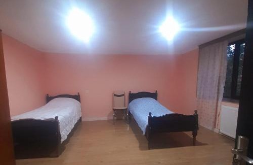 Mirzaani Appartement | Guesthouse Dedoplistskaro
