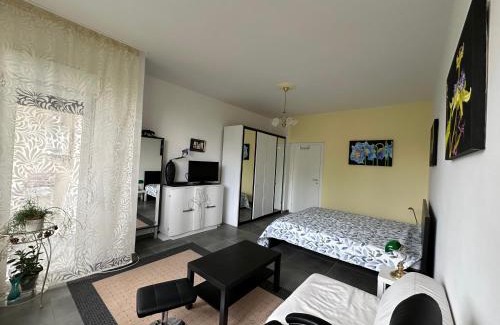 Trarego Hôtel | Guesthouse Ostello dell Arte