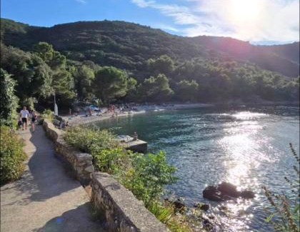 Valun Appartement | Guesthouse Pijerino