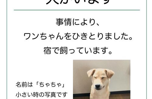 Kushiro Maison | Guesthouse Sakamichi Sampo