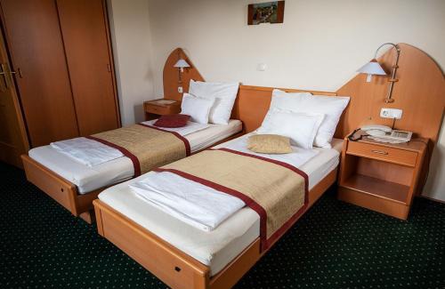 Lesce Maison | Guesthouse Tulipan