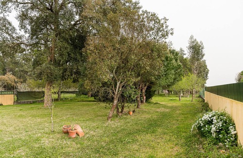 Mealhada Appartement | GuestReady - Quinta do Sol