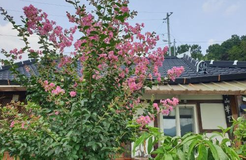 Jeonju Maison | Gugangjae Hanok Stay