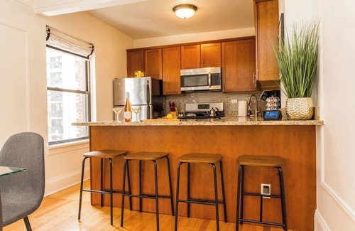Streeterville Copropriété | The Guild #2 Gold Coast Mag Mile Downtown Spacious 2bd/2ba