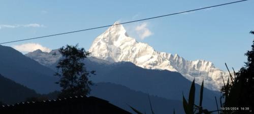 Ghachok Hôtel | Gurung Ghachok kitchen and lodge