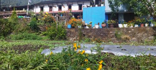 Ghachok Hôtel | Gurung Ghachok kitchen and lodge