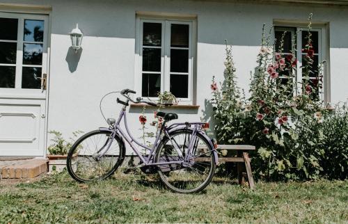Rugen Island Appartement | Gutshaus Krimvitz Ferienwohnung auf Rügen
