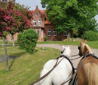 Thorstorf Appartement | Gutshaus Thorstorf FeWo Poel