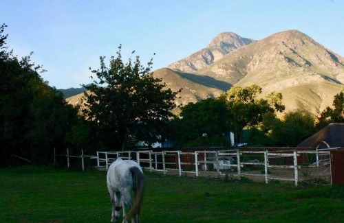 Greyton Appartement | Gypsy Mama in Greyton