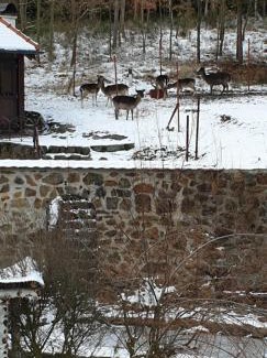 Hnevnice Maison | Hájovna Hněvnice