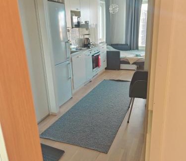 Tampere Appartement | Härmälän Kotoisa - valoisa yksiö - free parking & wifi
