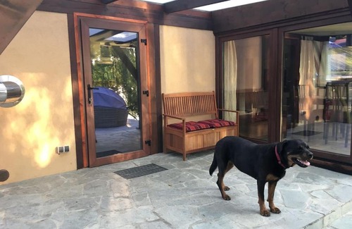 Bestensee Appartement | Häuschen direkt am See mit privater Sauna und Boot