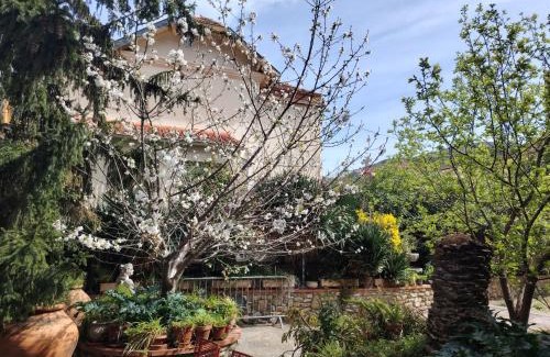 Amelie-les-Bains-Palalda Hôtel | Hébergements à La Rive, Accueil ouvert tous les jours jusqu'à 20h00 dernier délai, depuis 30 ans ! Réserver ici svp ! Merci ! Aucun règlement à distance accepté, Paiement par CB, Espèces, Chèque ou Chèques-Vacances impérativement à la remise des clefs !