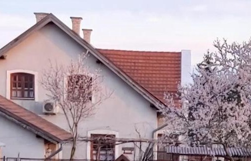 Balatonakali Appartement | Hóvirág Vendégház
