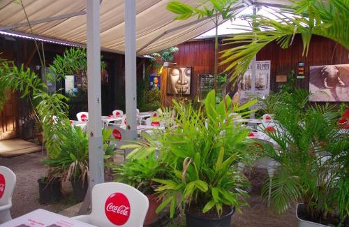 Cayenne Hôtel | Hôtel des Palmistes