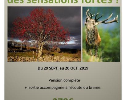 Nasbinals Hôtel | Hôtel le bastide