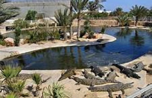 Houmt Souk Hôtel | Hôtel Les Palmes d'Or