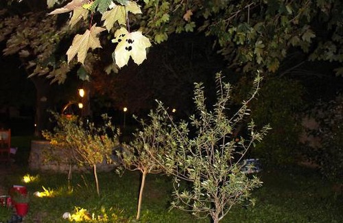 Villieu-Loyes-Mollon Hôtel | Hôtel Restaurant Le chanel