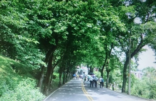 Xindian Appartement | H 大套房) 免費接送免費停車 在市郊非山區空氣新鮮 充滿芬多精的舒服 接近烏來有院子新店捷運站免費接送. (訂房申請需要經房東同意.