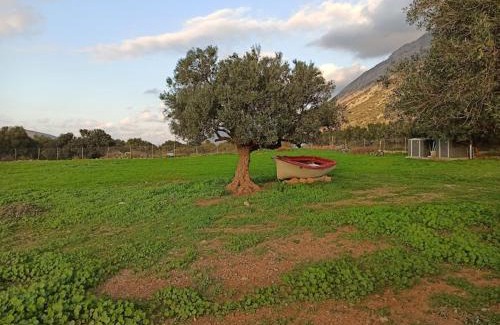 Lassithi Prefecture Autre | HA Camp