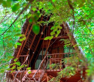 Habarana Station Balnéaire | Habarana Tree House Ambasewana Resort