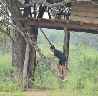 Habarana Autre | Habarana Wildwood Treehouse
