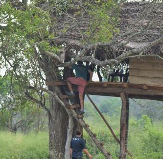 Habarana Autre | Habarana Wildwood Treehouse