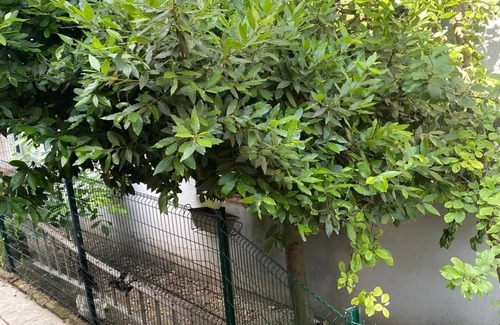 Noisy-le-Sec Appartement | Habitat 3 communes