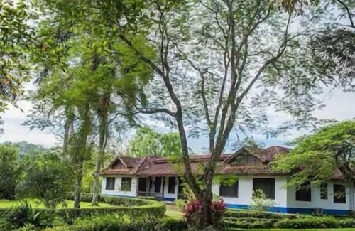 Parrita Maison | Hacienda el Porvenir