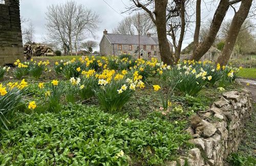 Southgate Maison | Hael Farm Cottage