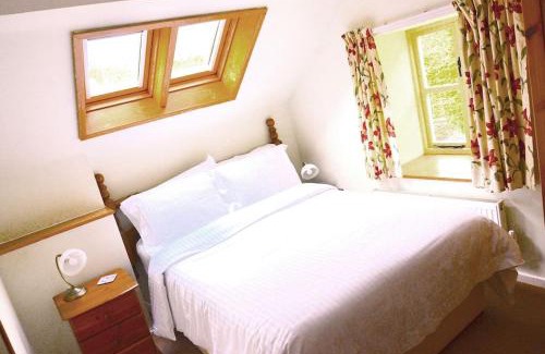 Graigfechan Maison | Hafannedd Cottage - riverside views