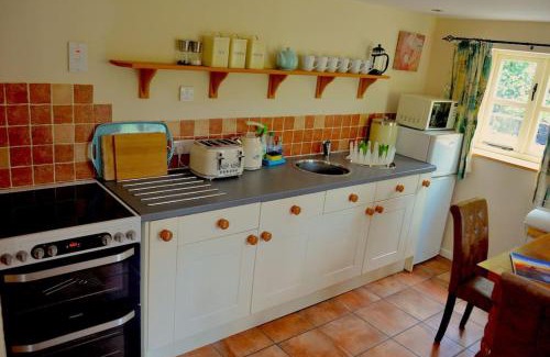 Graigfechan Maison | Hafannedd Cottage - riverside views