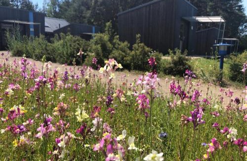 Senftenberg Appartement | Hafencamp Senftenberger See