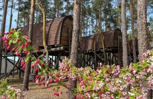 Senftenberg Appartement | Hafencamp Senftenberger See