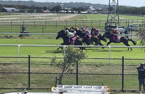 Broadmeadow Maison | Hamilton South - Views of the Race Track - Pet Friendly - 2km to Bar Beach