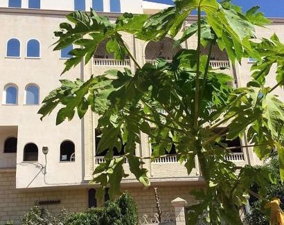 Sousse Appartement | Hammam Antistress