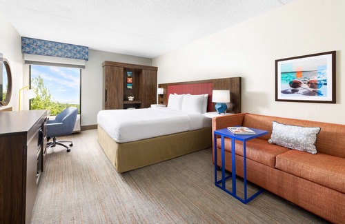 Islandia Hôtel | Hampton Inn Long Island/Islandia