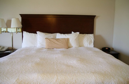 Selinsgrove Hôtel | Hampton Inn Selinsgrove/Shamokin Dam