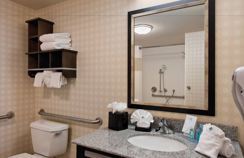 Romulus Hôtel | Hampton Inn & Suites Detroit / Airport - Romulus