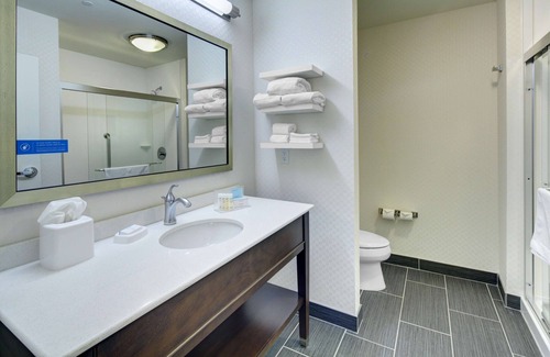 Roanoke Hôtel | Hampton Inn & Suites Roanoke-Downtown