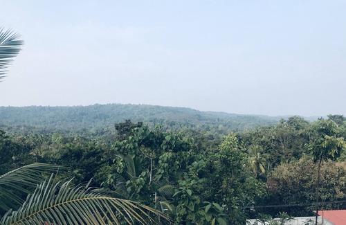Thalassery Maison | HANNA HOMESTAY Notre lieu est plein de nature