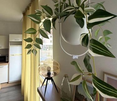 Sudervorstadt Appartement | Hanse Vermietung 3