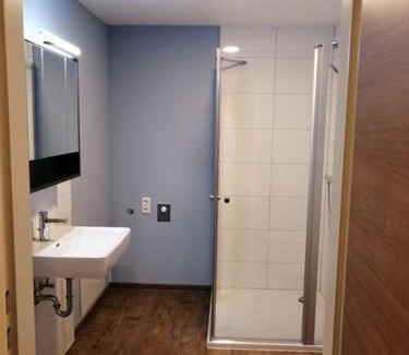 Waizenkirchen Appartement | Hansmayrgut