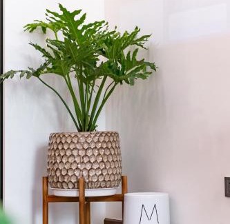 Ngo Quyen Appartement | Hapi Home