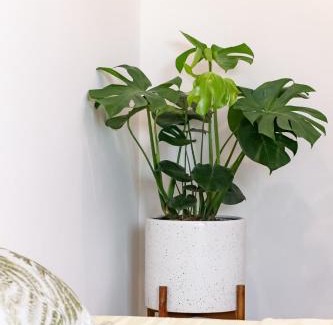 Ngo Quyen Appartement | Hapi Home
