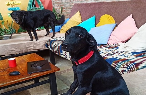 Bahia de Caraquez Appartement | Happiness Comes In Waves