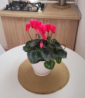 La Sabatera Appartement | Happy holidays Moraira Apartment